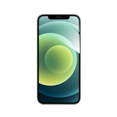 Защитная пленка для экрана с олеофобным покрытием 9H Forcell Flexible Nano Glass для Iphone 12/12 Pro 6,1" цена и информация | Защитные пленки для телефонов | pigu.lt