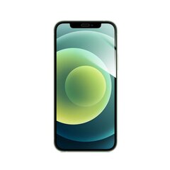 Защитная пленка для экрана с олеофобным покрытием 9H Forcell Flexible Nano Glass для Iphone 12 mini 5,4" цена и информация | Защитные пленки для телефонов | pigu.lt