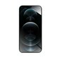 9H Forcell Flexible Nano Glass 5D for iPhone Xs Max/11 Pro Max 6,5" black kaina ir informacija | Apsauginės plėvelės telefonams | pigu.lt