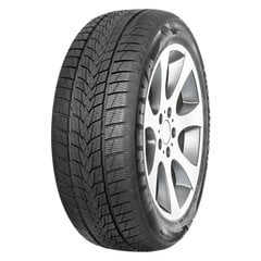 Minerva Frostrack UHP 225/55R17 101 V XL цена и информация | Зимняя резина | pigu.lt