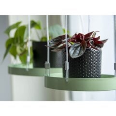 Esschert Design pakabinamas padėklas augalams kaina ir informacija | Gėlių stovai, vazonų laikikliai | pigu.lt