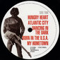 Vinilinė plokštelė 2LP Bruce Springsteen Greatest Hits kaina ir informacija | Vinilinės plokštelės, CD, DVD | pigu.lt