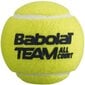Teniso kamuoliukai Babolat kaina ir informacija | Lauko teniso prekės | pigu.lt