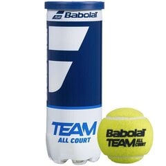 Теннисные мячи Babolat цена и информация | Товары для большого тенниса | pigu.lt