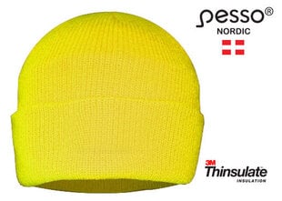Šilta megzta kepurė Pesso Thinsulate kaina ir informacija | Galvos apsauga | pigu.lt