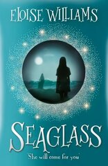 Seaglass цена и информация | Книги для подростков  | pigu.lt