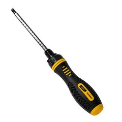 Ratchet screwdriver Deli Tools EDL626011, 6|PH2x180mm kaina ir informacija | Mechaniniai įrankiai | pigu.lt