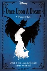 Disney Princess Sleeping Beauty: Once Upon a Dream kaina ir informacija | Knygos paaugliams ir jaunimui | pigu.lt