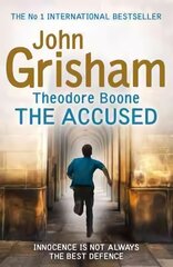 Theodore Boone: The Accused: Theodore Boone 3 цена и информация | Книги для подростков и молодежи | pigu.lt