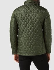 Geox Мужская куртка Dereck с капюшоном, зеленый цена и информация | Мужские куртки | pigu.lt