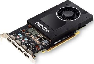 PNY Nvidia Quadro P2000 (VCQP2000BLK-1) kaina ir informacija | Vaizdo plokštės (GPU) | pigu.lt