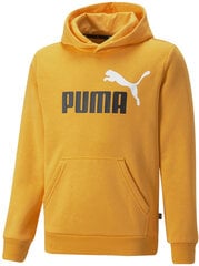 Джемпер Puma Ess+ 2Col Big Logo 586987 39/164, желтый цена и информация | Свитеры, жилетки, пиджаки для мальчиков | pigu.lt