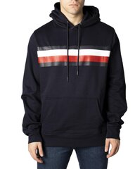 Tommy Hilfiger Jeans Džemperis Vyrams 384476 цена и информация | Женские толстовки | pigu.lt