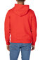 Džemperis vyrams Calvin Klein Jeans, raudonas цена и информация | Džemperiai vyrams | pigu.lt
