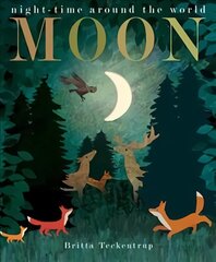 Moon цена и информация | Книги для самых маленьких | pigu.lt