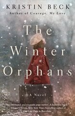 Winter Orphans цена и информация | Фантастика, фэнтези | pigu.lt