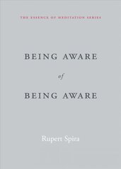 Being Aware of Being Aware: The Essence of Meditation, Volume 1, Volume 1 kaina ir informacija | Dvasinės knygos | pigu.lt