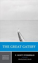 Great Gatsby Critical edition kaina ir informacija | Užsienio kalbos mokomoji medžiaga | pigu.lt