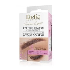 Мыло для бровей Delia Expert Perfect, 10 мл цена и информация | Карандаши, краска для бровей | pigu.lt