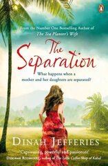 Separation: Discover the perfect escapist read from the No.1 Sunday Times bestselling author of The Tea Planter's Wife kaina ir informacija | Fantastinės, mistinės knygos | pigu.lt