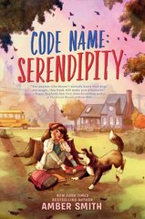 Code Name: Serendipity kaina ir informacija | Knygos paaugliams ir jaunimui | pigu.lt