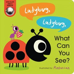 Ladybug, Ladybug, What Can You See? kaina ir informacija | Knygos mažiesiems | pigu.lt