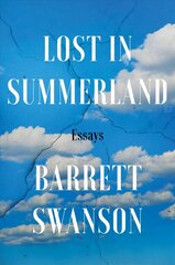 Lost In Summerland: Essays цена и информация | Книги по социальным наукам | pigu.lt