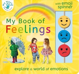 My Book of Feelings цена и информация | Книги для подростков и молодежи | pigu.lt