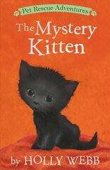 Mystery Kitten цена и информация | Книги для подростков и молодежи | pigu.lt