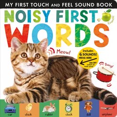 Noisy First Words цена и информация | Книги для малышей | pigu.lt