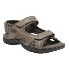 Basutės vyrams Haris Sandals 5020436668174 kaina ir informacija | Regatta Avalynė vyrams | pigu.lt