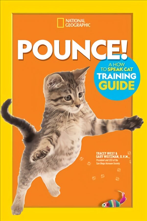 Pounce! a How to Speak Cat Training Guide kaina ir informacija | Knygos paaugliams ir jaunimui | pigu.lt