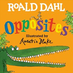 Roald Dahl Opposites цена и информация | Книги для самых маленьких | pigu.lt