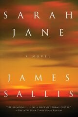 Sarah Jane kaina ir informacija | Fantastinės, mistinės knygos | pigu.lt