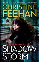 Shadow Storm kaina ir informacija | Fantastinės, mistinės knygos | pigu.lt