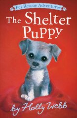 Shelter Puppy цена и информация | Книги для подростков  | pigu.lt