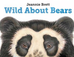 Wild About Bears цена и информация | Книги для подростков  | pigu.lt