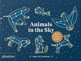 Animals in the Sky цена и информация | Книги для подростков  | pigu.lt