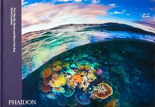 Two Worlds: Above and Below the Sea цена и информация | Книги по фотографии | pigu.lt