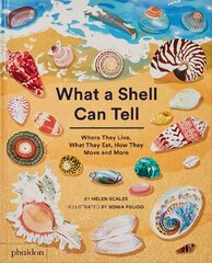 What A Shell Can Tell цена и информация | Книги для подростков и молодежи | pigu.lt
