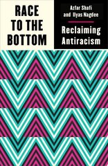 Race to the Bottom: Reclaiming Antiracism цена и информация | Книги по социальным наукам | pigu.lt