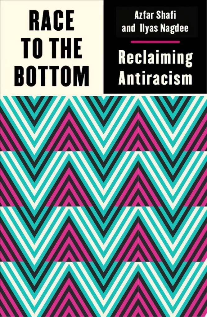 Race to the Bottom: Reclaiming Antiracism цена и информация | Socialinių mokslų knygos | pigu.lt