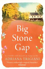 Big Stone Gap Reissue kaina ir informacija | Fantastinės, mistinės knygos | pigu.lt
