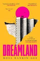 Dreamland: An Evening Standard 'Best New Book' of 2021 цена и информация | Фантастика, фэнтези | pigu.lt