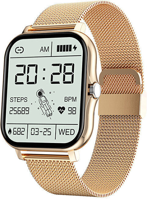 Wotchi WO2GT Gold цена и информация | Išmanieji laikrodžiai (smartwatch) | pigu.lt