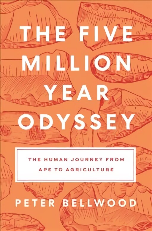 Five-Million-Year Odyssey: The Human Journey from Ape to Agriculture kaina ir informacija | Ekonomikos knygos | pigu.lt