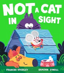 Not a Cat In Sight kaina ir informacija | Knygos mažiesiems | pigu.lt