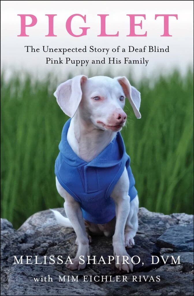 Piglet: The Unexpected Story of a Deaf, Blind, Pink Puppy and His Family kaina ir informacija | Knygos apie sveiką gyvenseną ir mitybą | pigu.lt