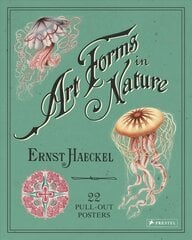 Ernst Haeckel: Art Forms in Nature: 22 Pull-Out Posters: 22 Pull-Out Posters kaina ir informacija | Knygos apie meną | pigu.lt