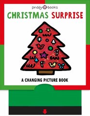 Christmas Surprise цена и информация | Книги для самых маленьких | pigu.lt